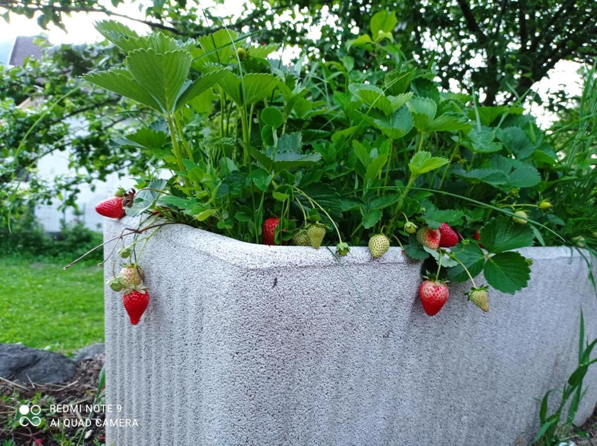 Il Giardino Segreto Διαμέρισμα Beura Εξωτερικό φωτογραφία